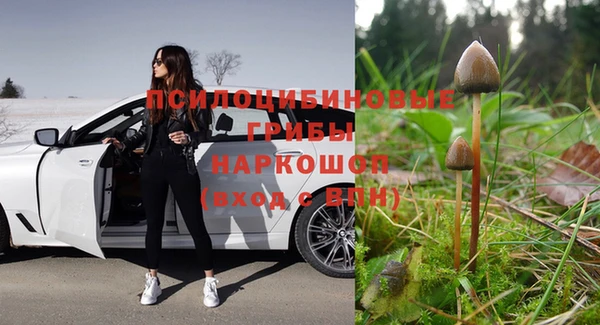 mdma Дмитриев