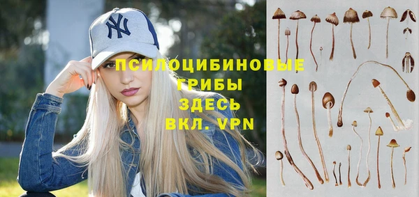 ешки Абдулино